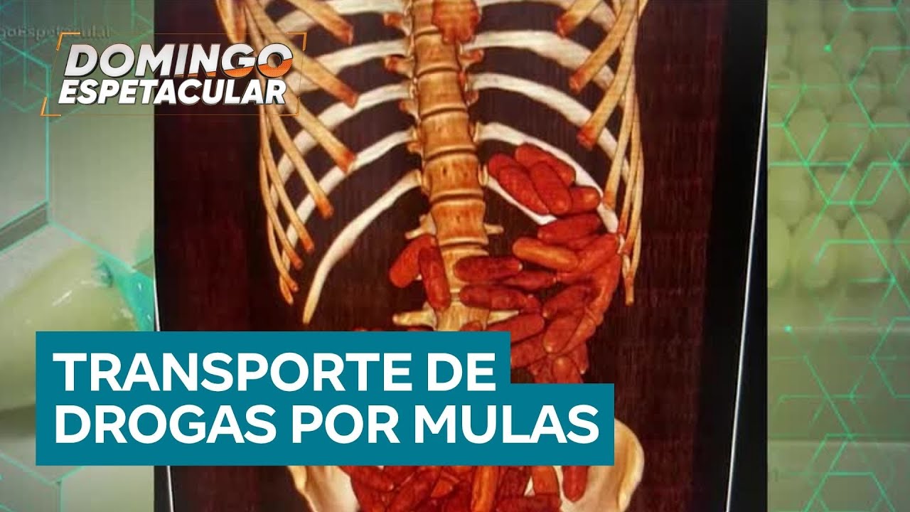 Mulas do tráfico: como agem os traficantes no Aeroporto de Guarulhos (SP), o maior da América Latina