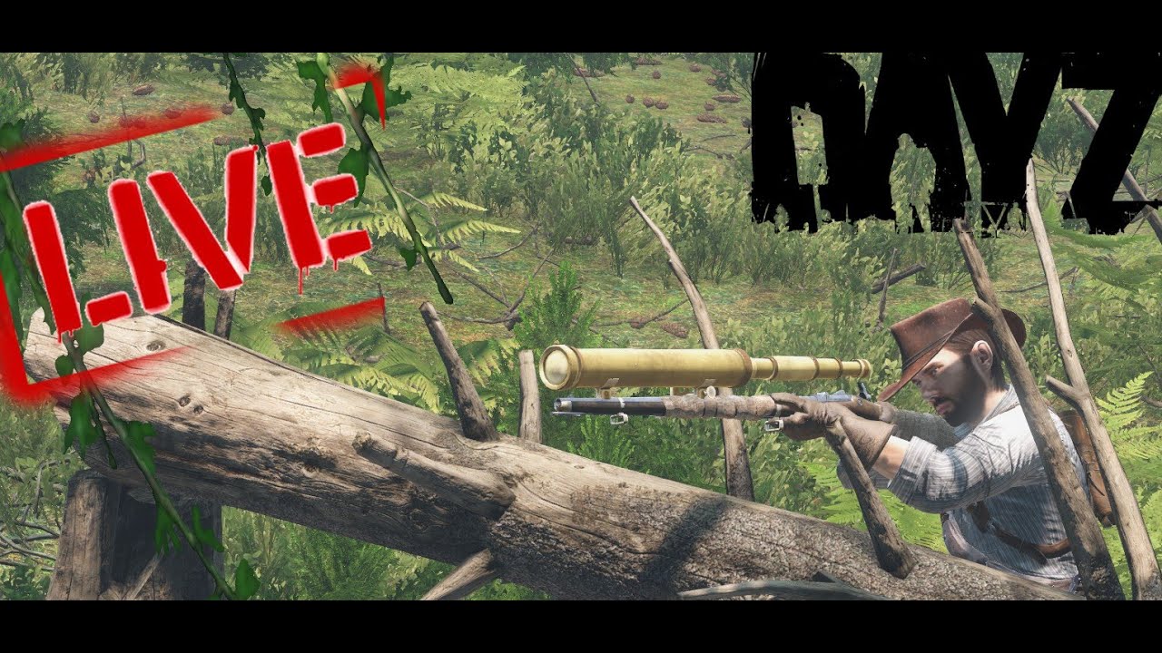 ✨Greatest Below Average Streamer Alert✨ WesternZ, DayZ
