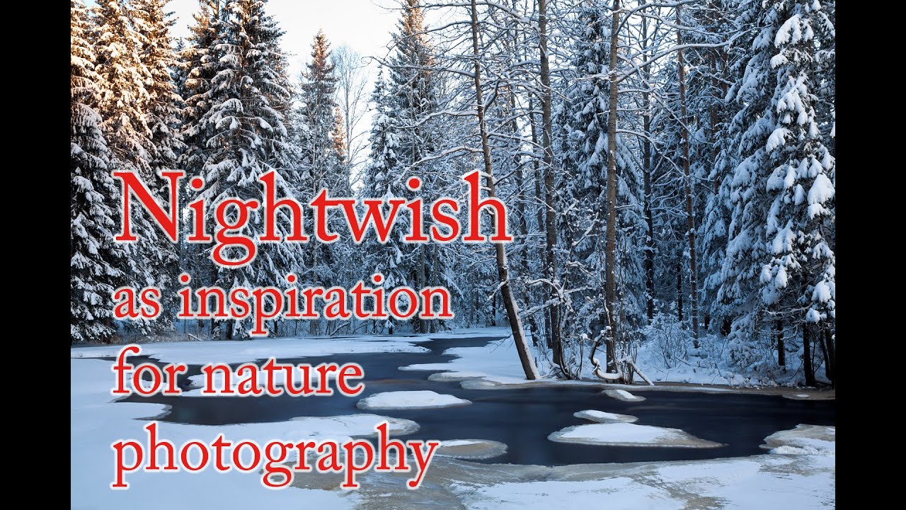 Nightwish as inspiration for nature photography.