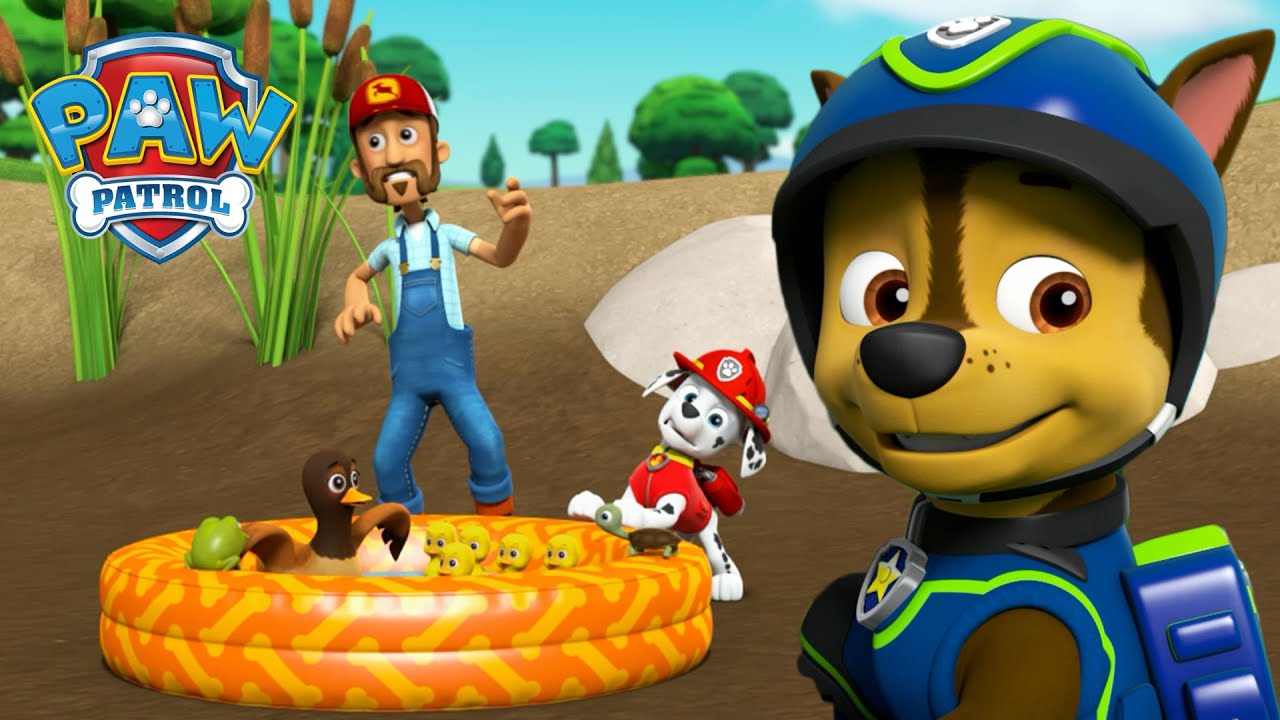 Marshall zachraňuje kachní rybník a další další zvířecí záchrany! - Tlapková Patrola PAW Patrol