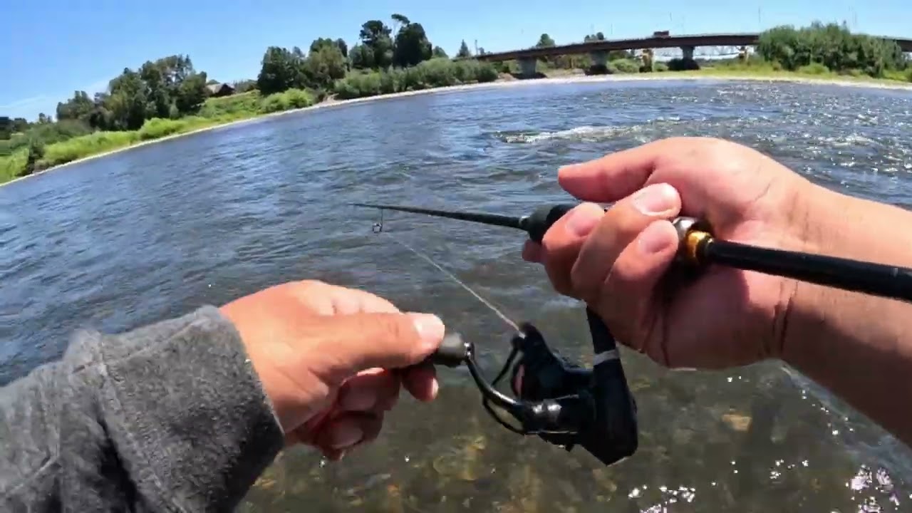 Pesca en el Toltén, con una visita aventurera 🤠
