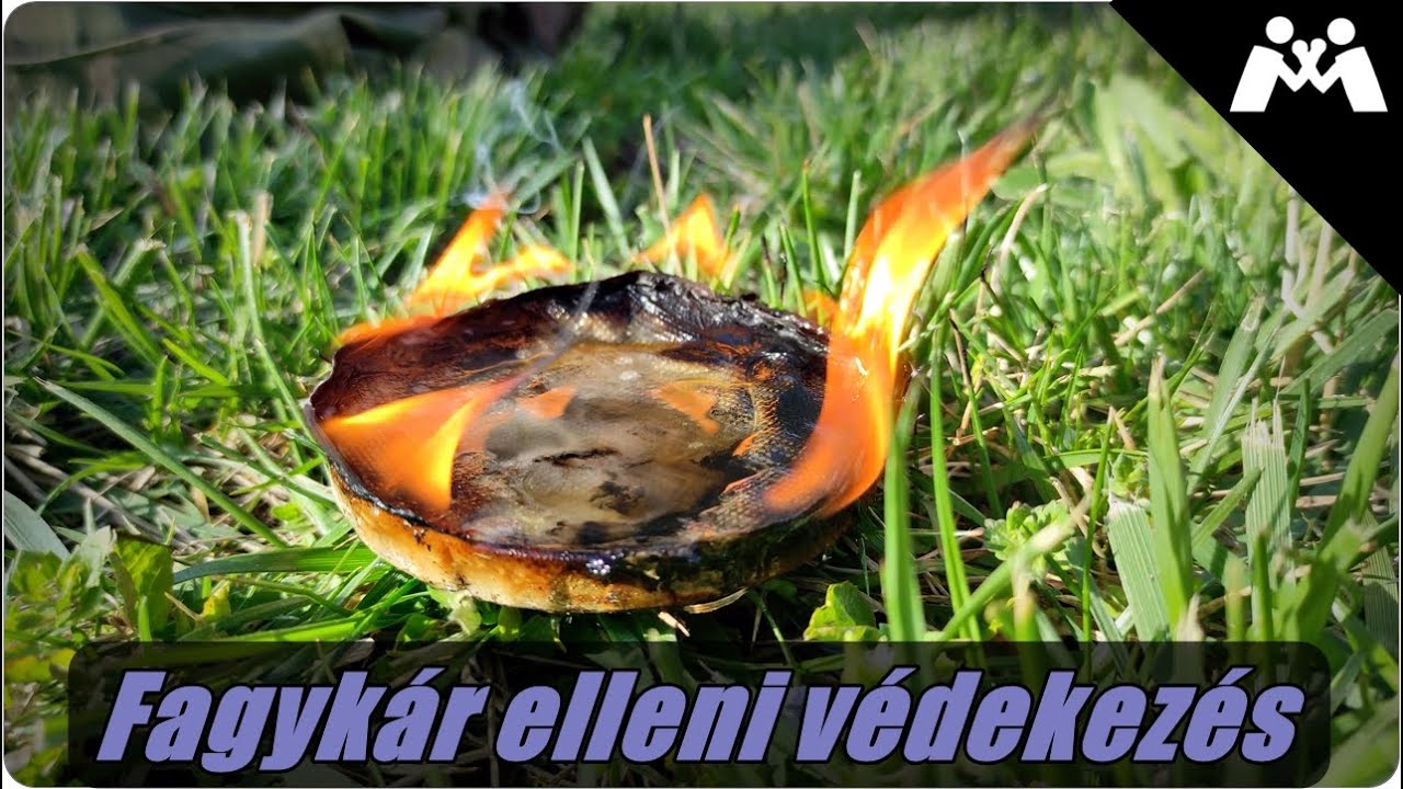 Fagykár elleni védekezés - Tippek és tapasztalatok