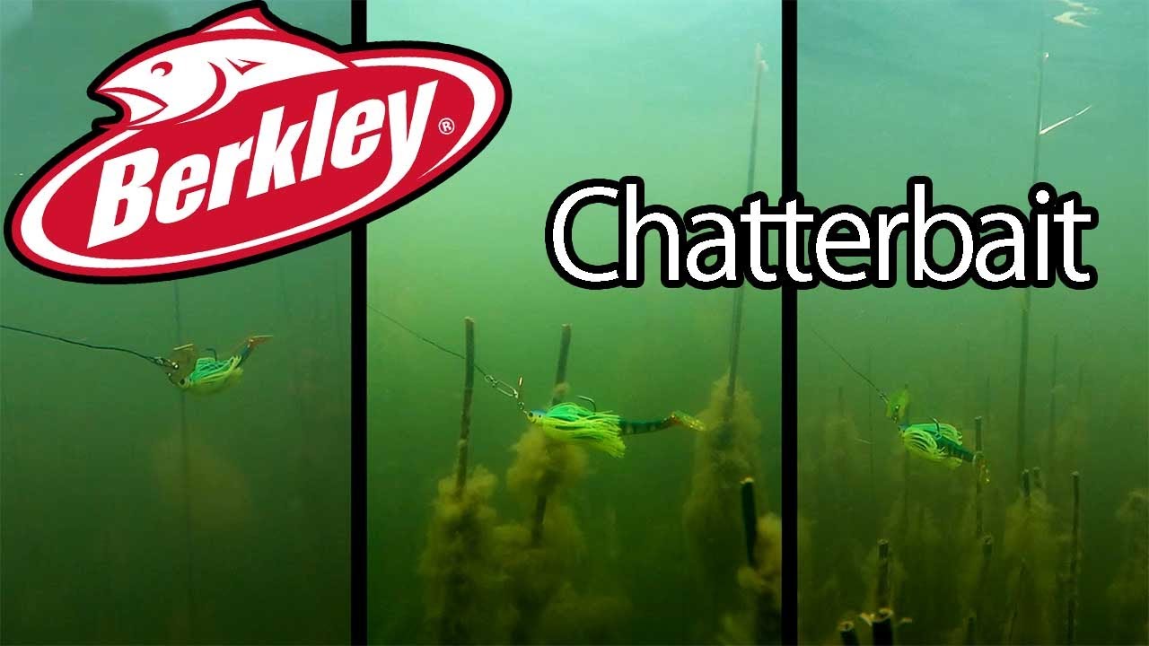 Våga pröva CHATTERBAIT