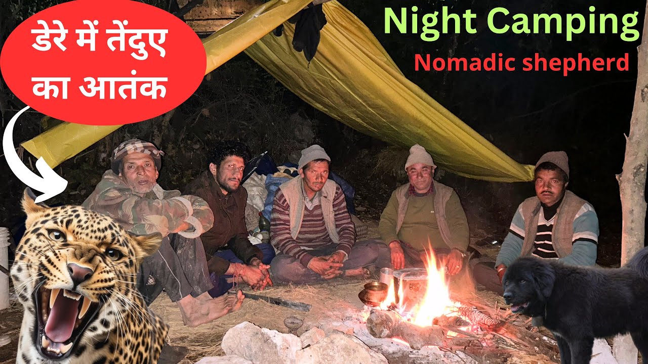 Night Camping With Nomadic Shepherd’s. Winter Night Camping in jungle ||Himachal Pradesh.