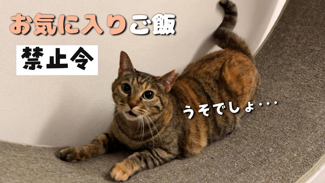 病院で検査してもらったら残念な結果でした　