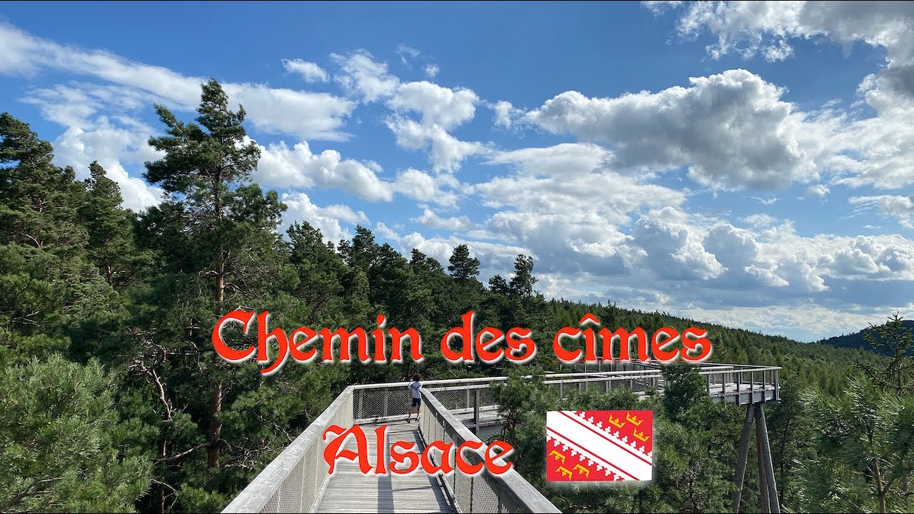 Chemin des cimes Alsace - Drachenbronn-Birlenbach