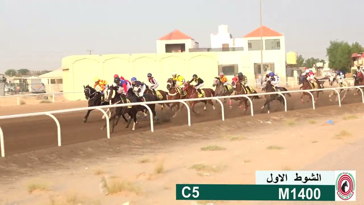 مجحم الجمحات - اسطبل ماجد فهيد الظفيري