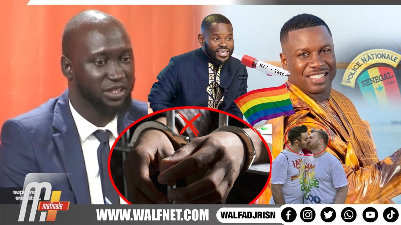 Arrestation de Pape C Diallo et Djiby lourde charges, information judiciaire: decryptage de Pape N