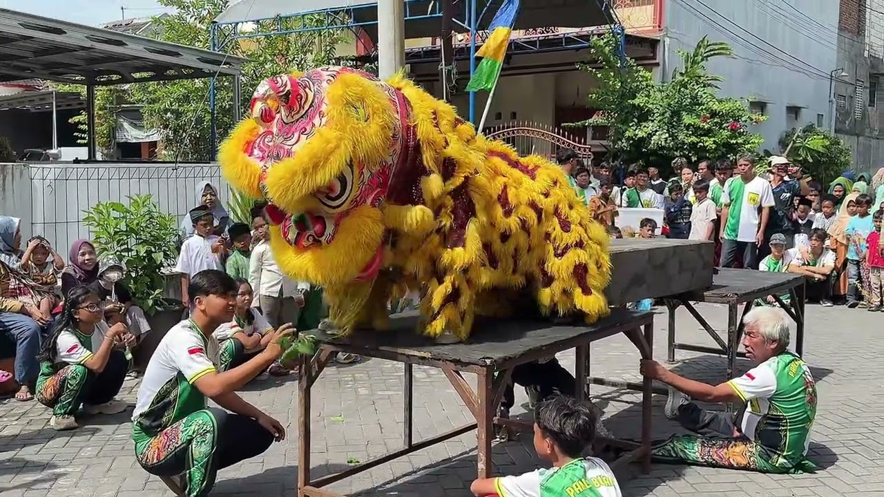 JO & CHI nonton barongsai