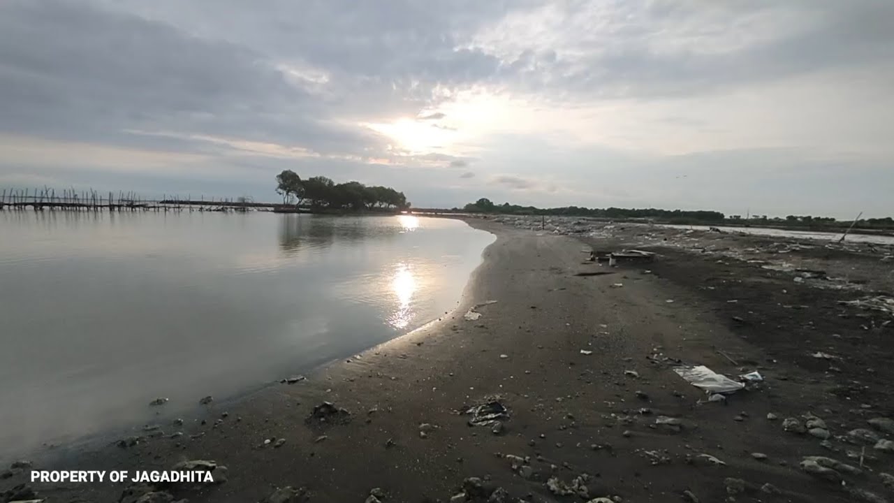 Soothing Sea Waves at Night | ASMR for Sleep, Study & Meditation