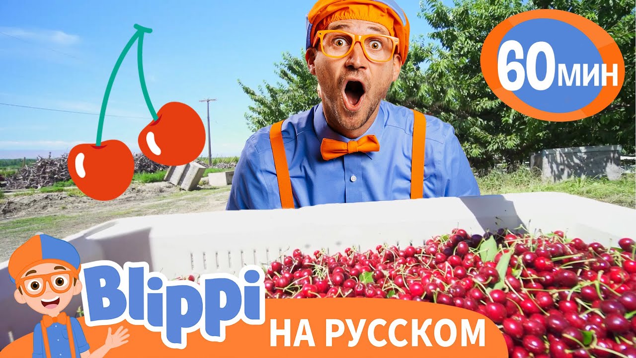 Блиппи на фабрике вишни | Изучай этот мир вместе с Блиппи | Обучающие видео для детей | Blippi