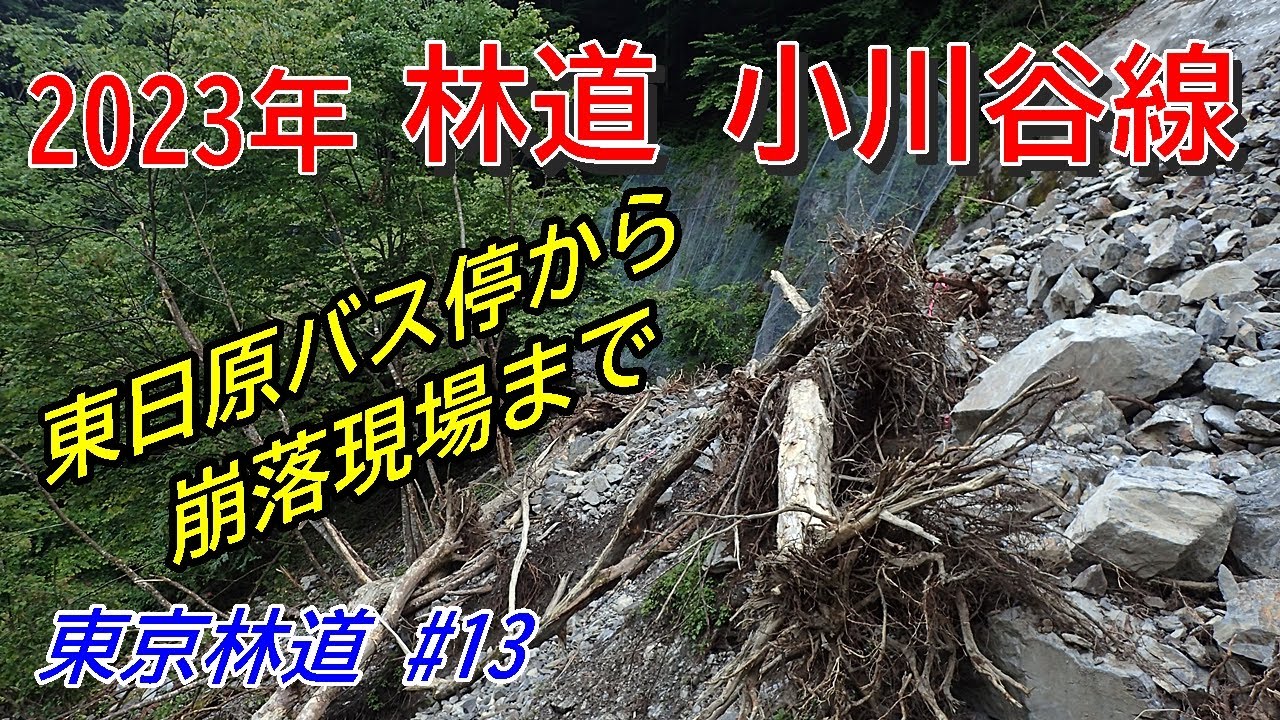 東京林道 #13　林道 小川谷線（2023年）東京都奥多摩町