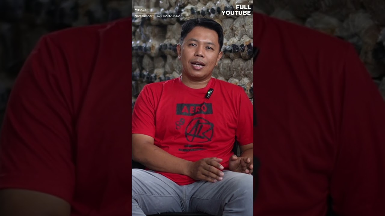 Cara Pemetaan Pasar Sebelum Budidaya Jamur