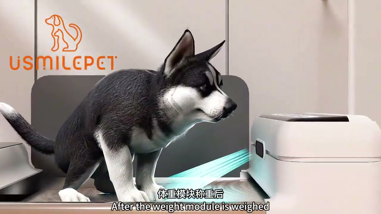 🚀 Meet the Future of Potty Time: USMILEPET Smart Auto Dog Toilet!