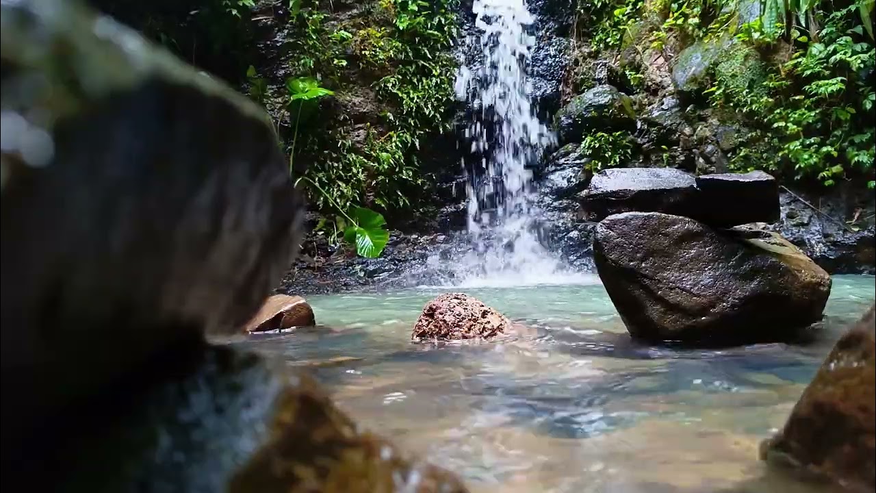 Music therapy 🌿 soothes the nervous system and refreshes the soul, relaxing. Eliminates anxiety 