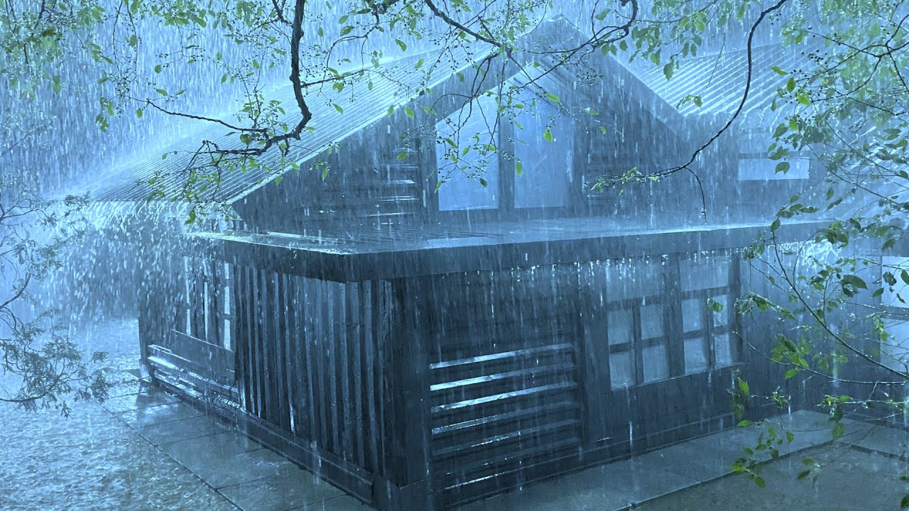 Lull to Sleep with White Noise of Heavy Rain & Thunder Sounds on a Tin Roof in Rainforest at Night