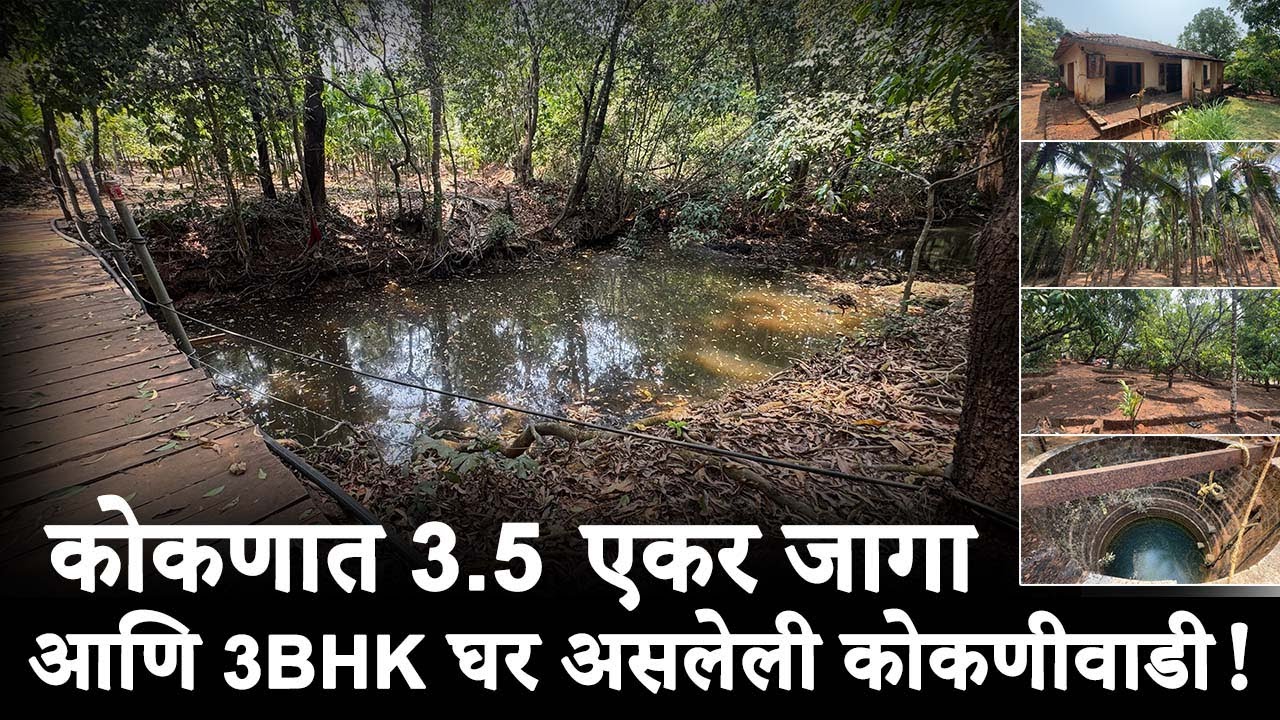 कोकणात निसर्गाच्या सान्निध्यात 3.5 एकर कोकणीवाडी.| Fully Developed Property.|फार्महाऊस + लागवड. #new