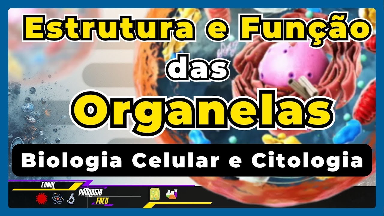 ORGANELAS CITOPLASMÁTICAS - Estrutura e Função - Resumo | Ensino superior | [Atualizado 2026]