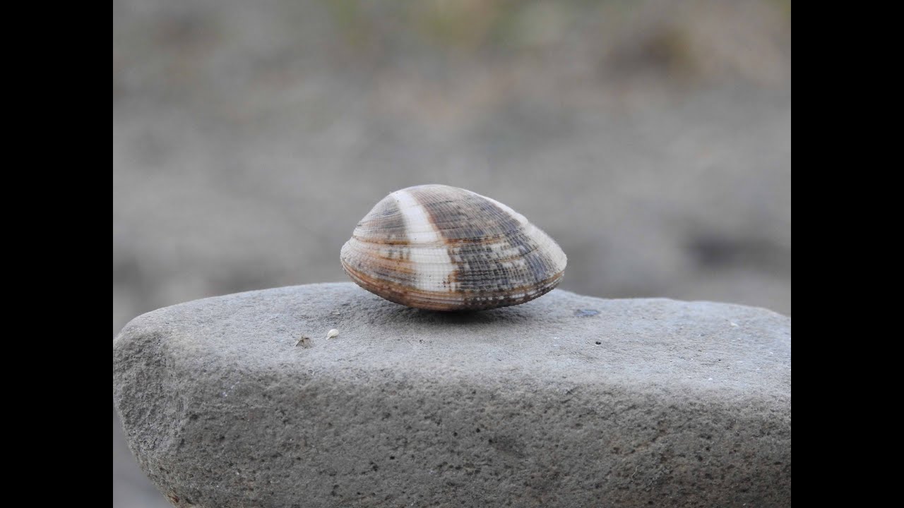 匠師の故鄉 挖赤嘴仔