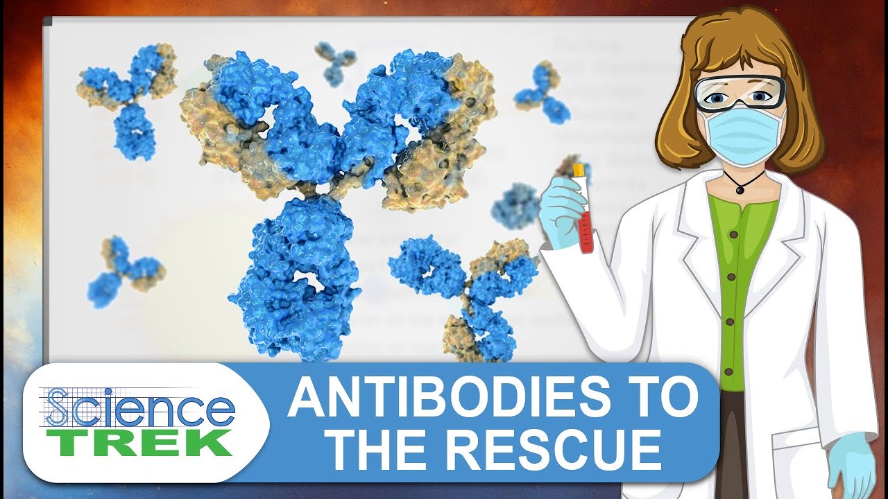 Viruses: Antibodies to the Rescue | Science Trek