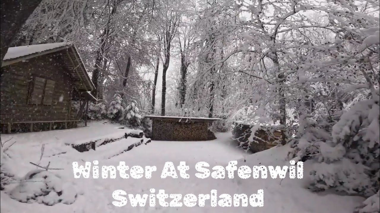 Winter at Safenwil