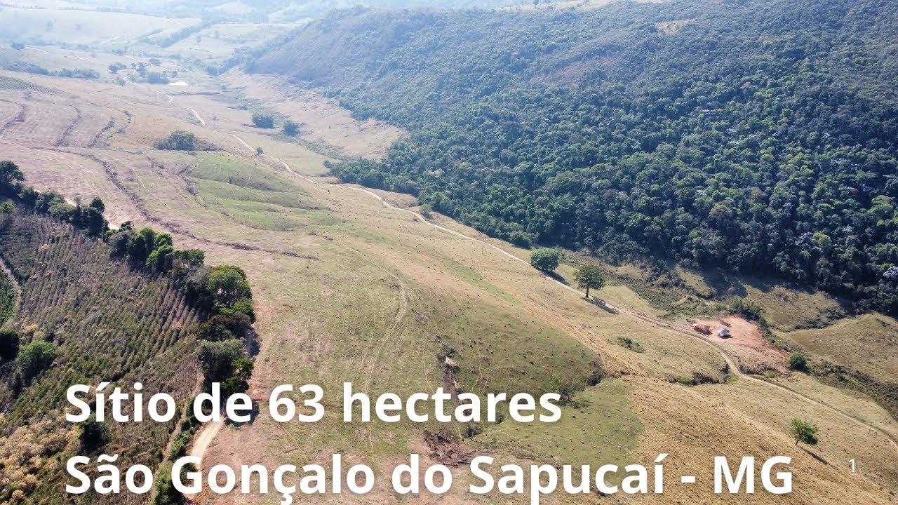 Ideal para Plantio Café, Abacate e Gado. Georreferenciado com 7 nascentes e 17 hectares tratoráveis.