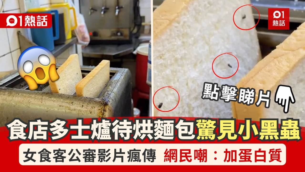 【01熱話】食店多士爐麵包驚見多隻黑蟲！女食客拍片公審　網民嘲：加蛋白質｜多士爐｜黑蟲