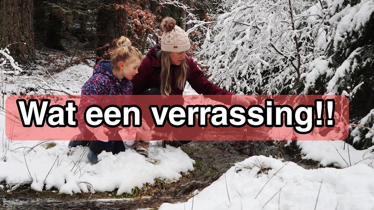 Wonen in Zweden Vlog 46, 2023 - Op het juiste moment - Linda Meijers