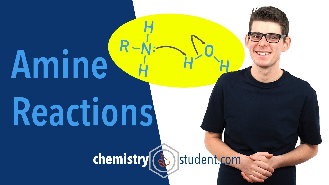 Amines - Reactions (A-Level IB Chemistry)