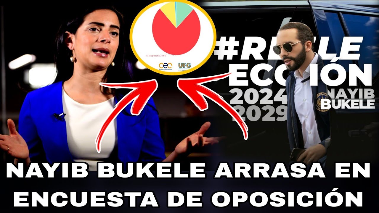NAYIB BUKELE LO VUELVE HACER! OPOSICI&Oacute;N HACE ENCUESTA Y BUKELE ARRASA, CLAUDIA ORTIZ SE ALTERA!