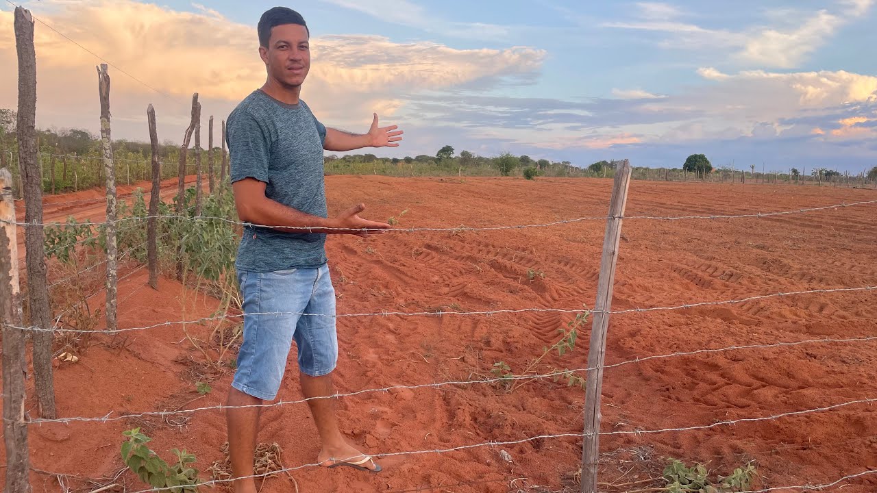 O TEMPO QUE O NORDESTINO MAIS GOSTA NO SERTÃO CHEGOU - PLANTAÇÃO DE FEIJÃO
