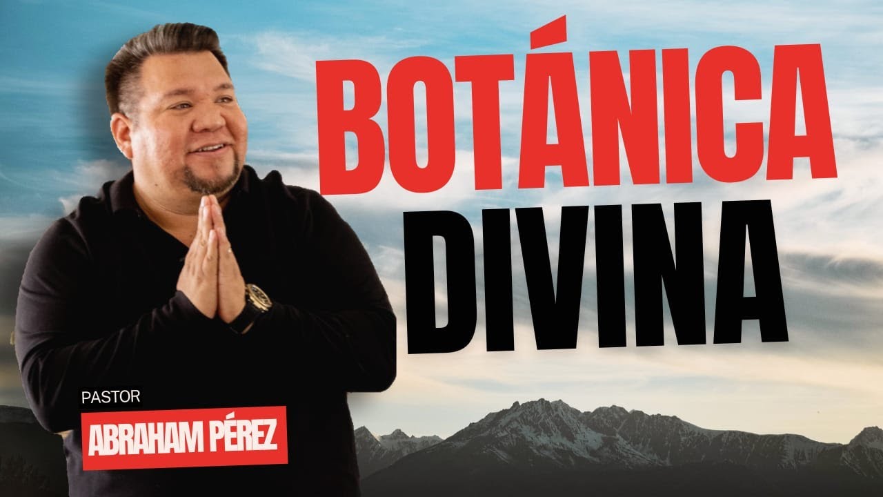 🔴 Cómo sanar el corazón de los que amas? 