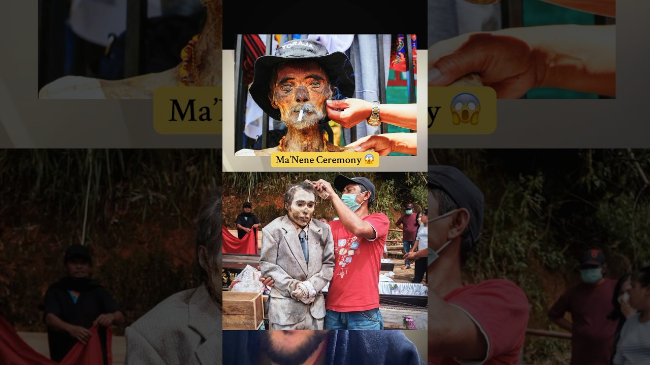 Indonesia Tribal Stories #tribaltraditions #tradition #ritual