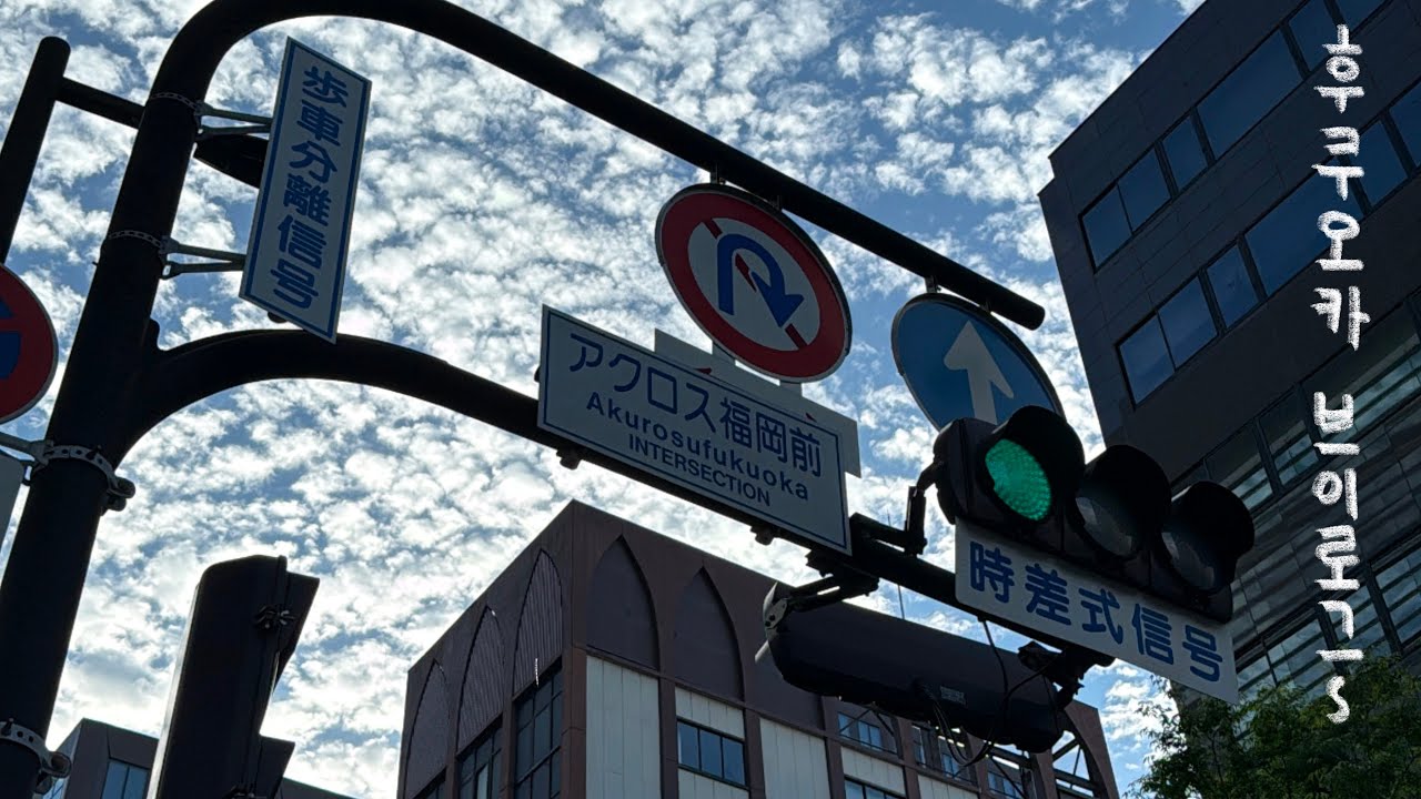 나홀로 후쿠오카 여행🇯🇵 먹으러 여행 간 사람