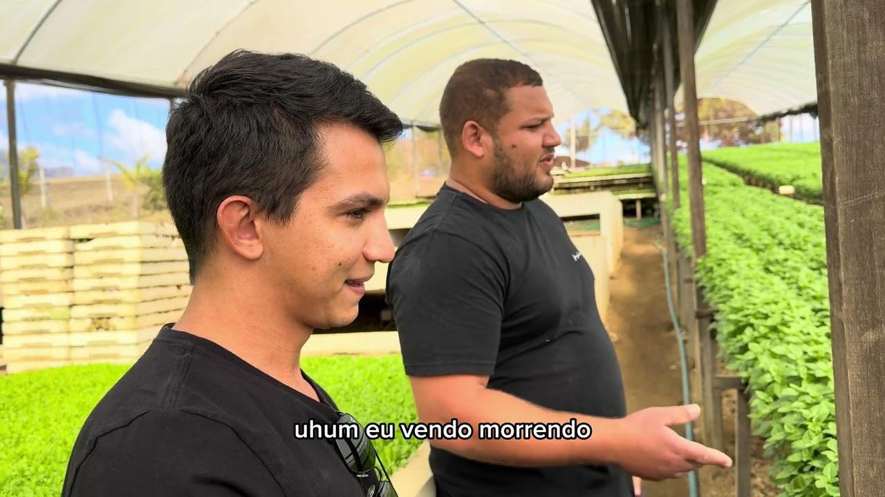 O que te faz ser um bom produtor hidropônico?