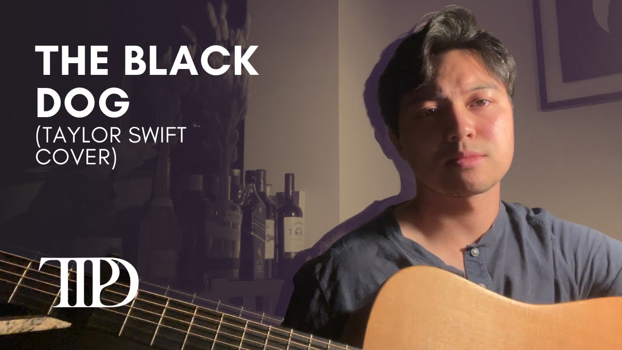 The Black Dog - Taylor Swift | Mickey Santana Cover