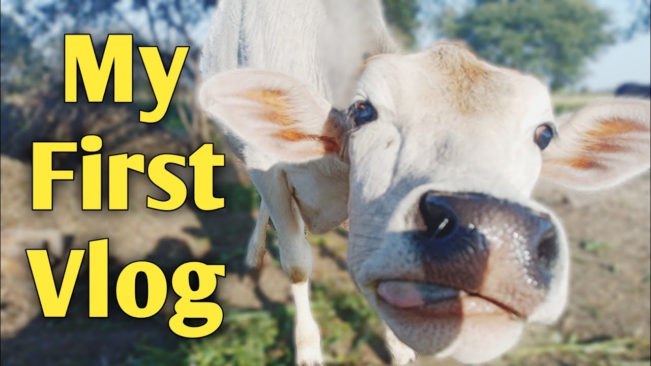 My first vlog today 😘
