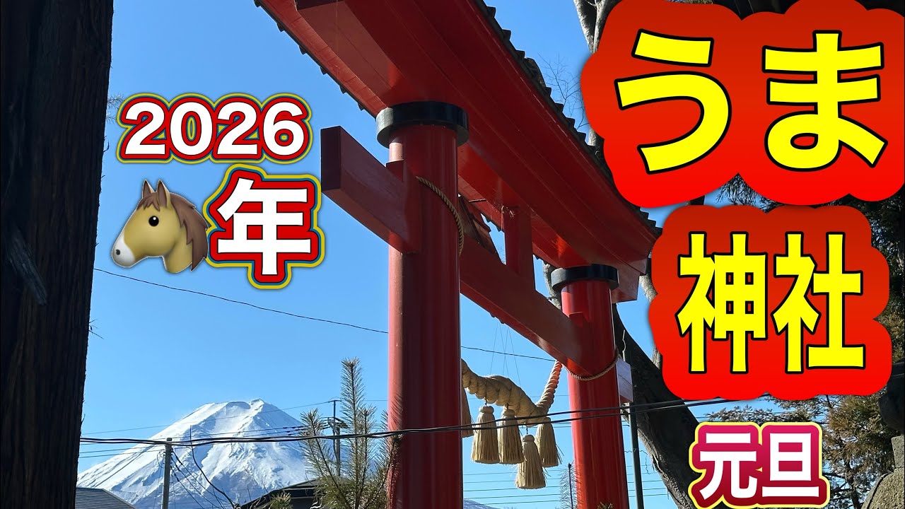 うま神社で神馬に触れて来ました⛩️🐴