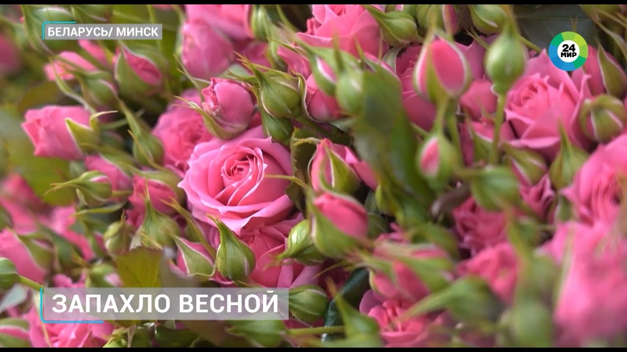 Минские флористы подготовили более 300 тысяч тюльпанов и роз к 8 Марта