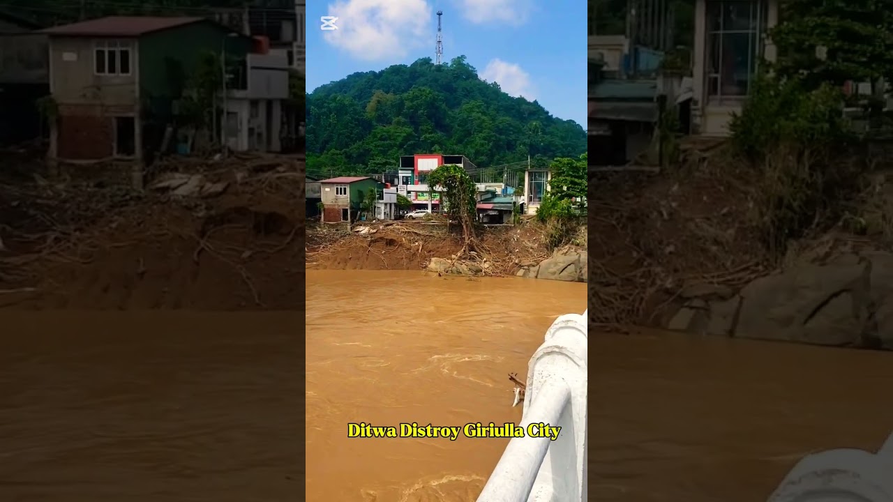 Ditwa Distroy Giriulla City#nature #love #naturedesaastet #ditwa #cyclone
