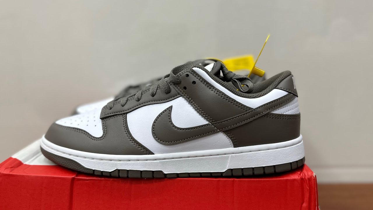 360 Closing Review Outside Nike Dunk Low 'Cave Stone' HF5441-111