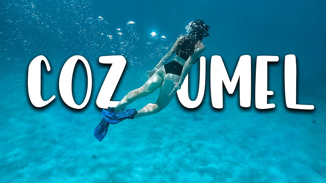 What to do in Cozumel | (Full-day Tour) from Playa del Carmen