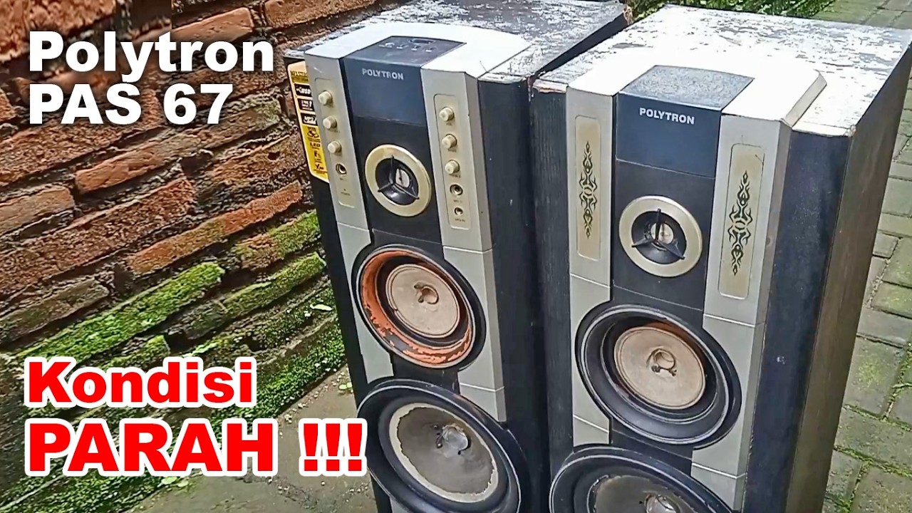 Restorasi Speaker Aktif Polytron Pas 67 Rusak Menjadi Layak Pakai