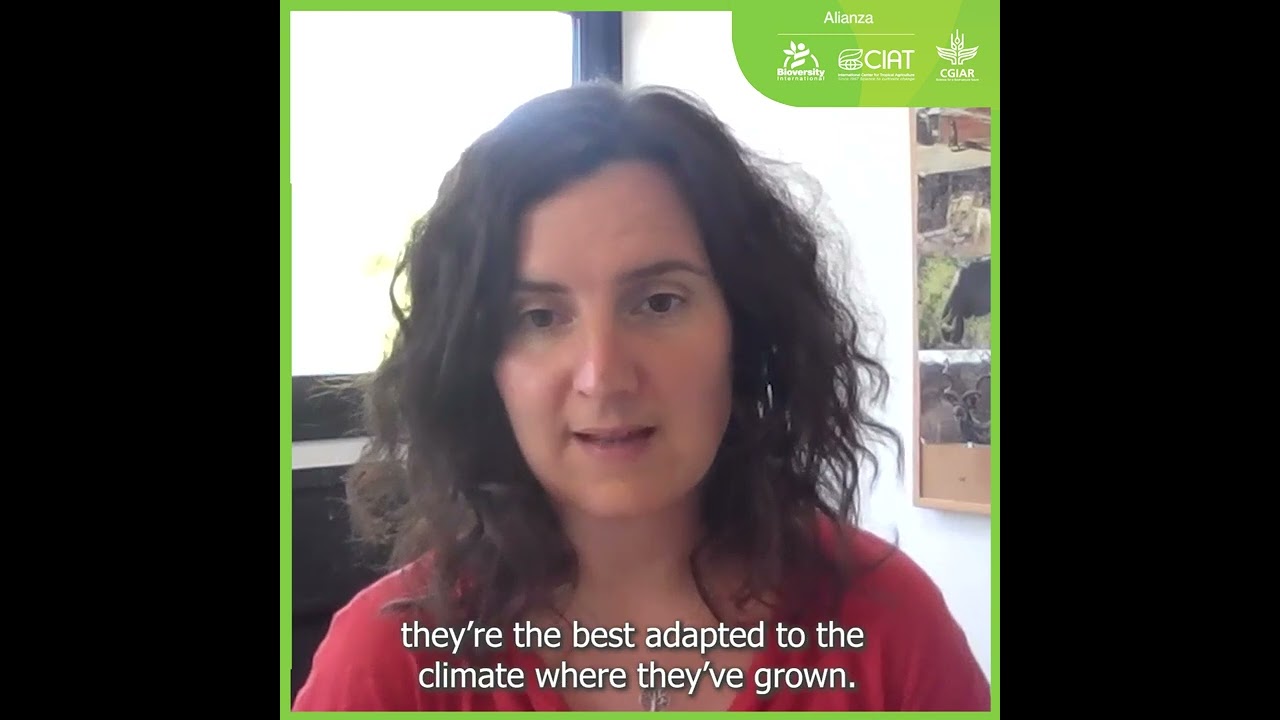 Ask a scientist: What is Agrobiodiversity?