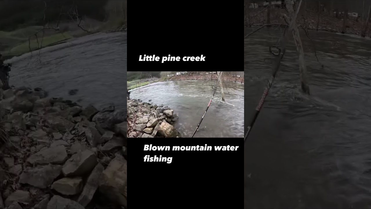 Fishing #littlepinecreek #littlepine #fishing #trout #troutfishing #lycoming