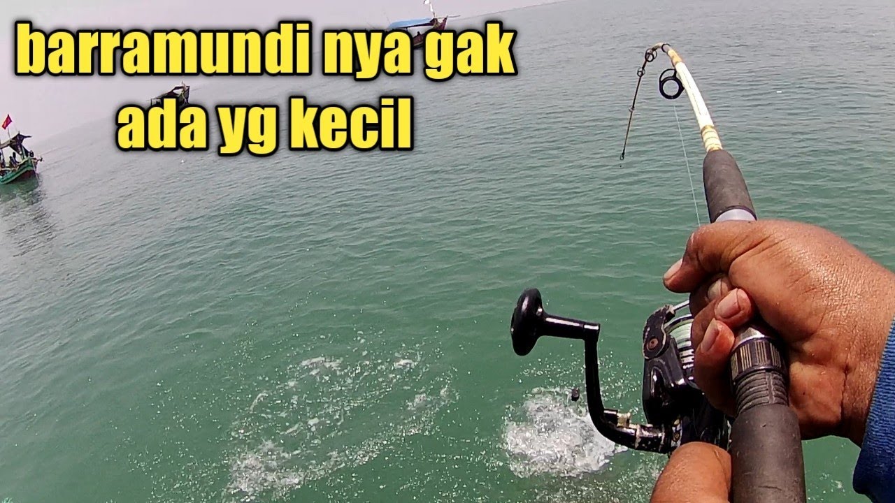 spot barramundi paling edan yang pernah saya temui