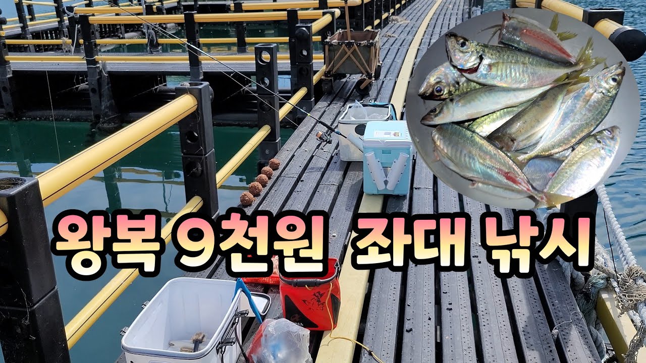 통영 좌대 1박2일 (전갱이를 찾아서)