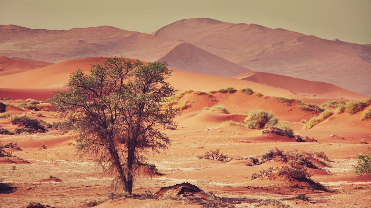 Dreamy Desert Guitar II Hermanos Gutierrez Playlist