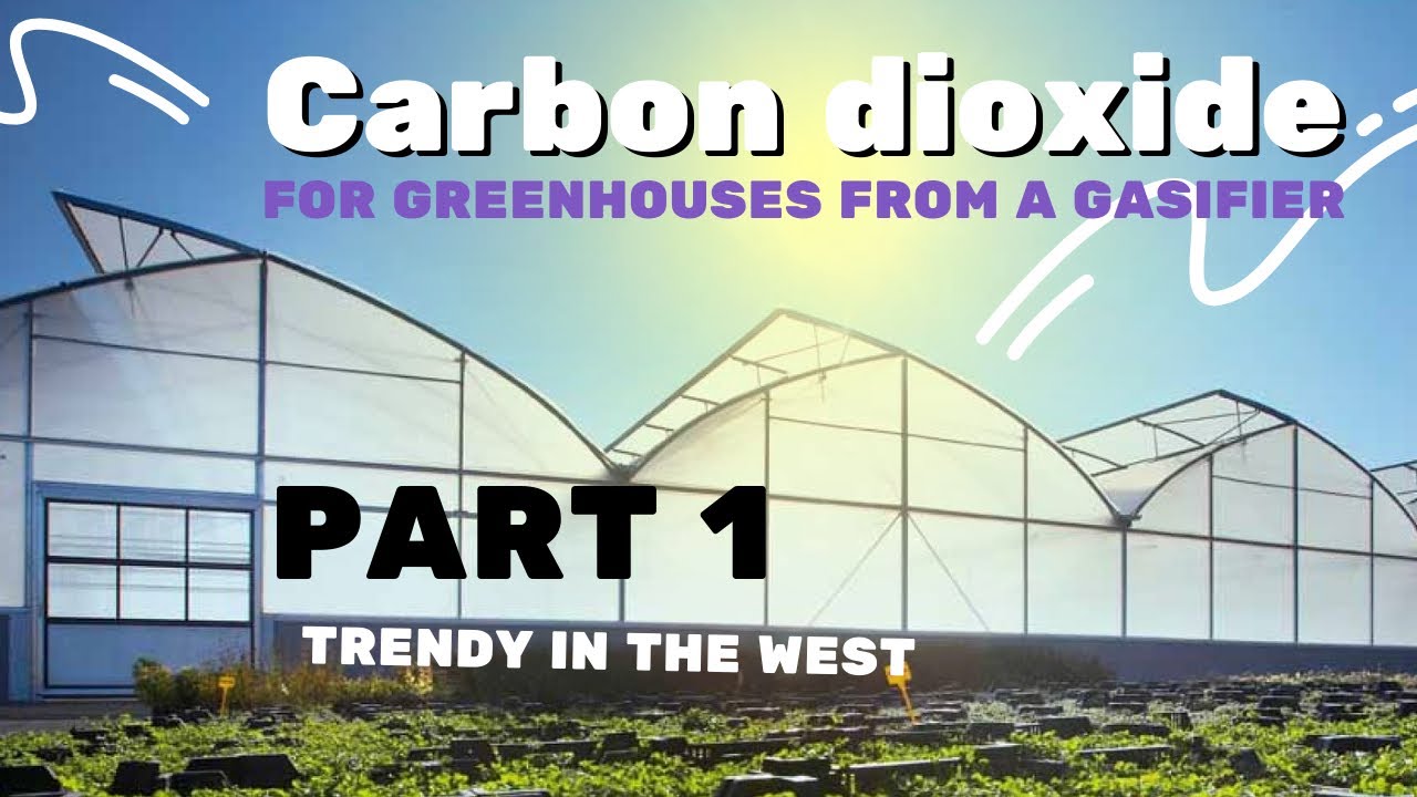 Carbon dioxide for greenhouses produced by gasifiers - trendy in the West