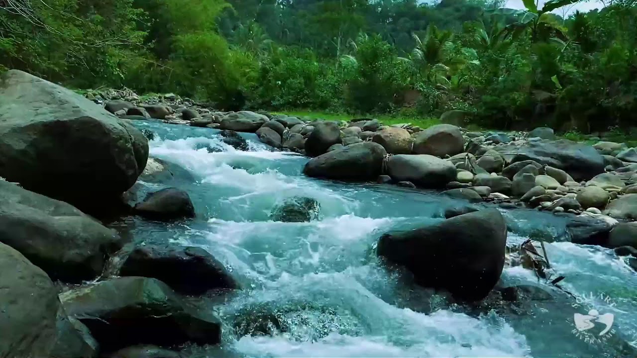 River Sounds for Sleeping Stress Relief | Peaceful Flowing Water Night Ambienc